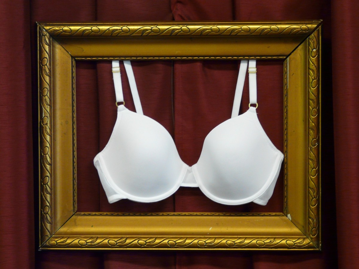 A vegetariana: um sutiã pode não ser somente um sutiã