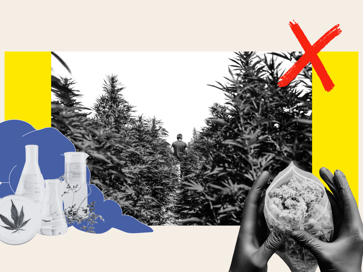 Limites às sanções administrativas comináveis ao uso de drogas ilícitas